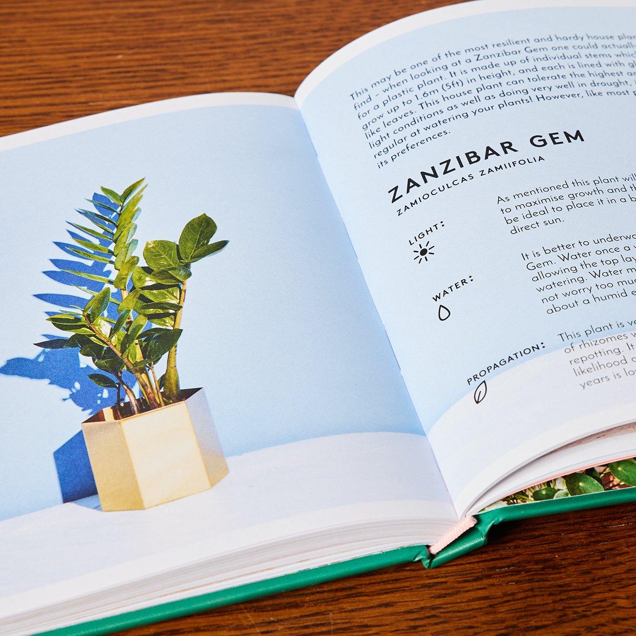 Little Book of House Plants and Other Greenery