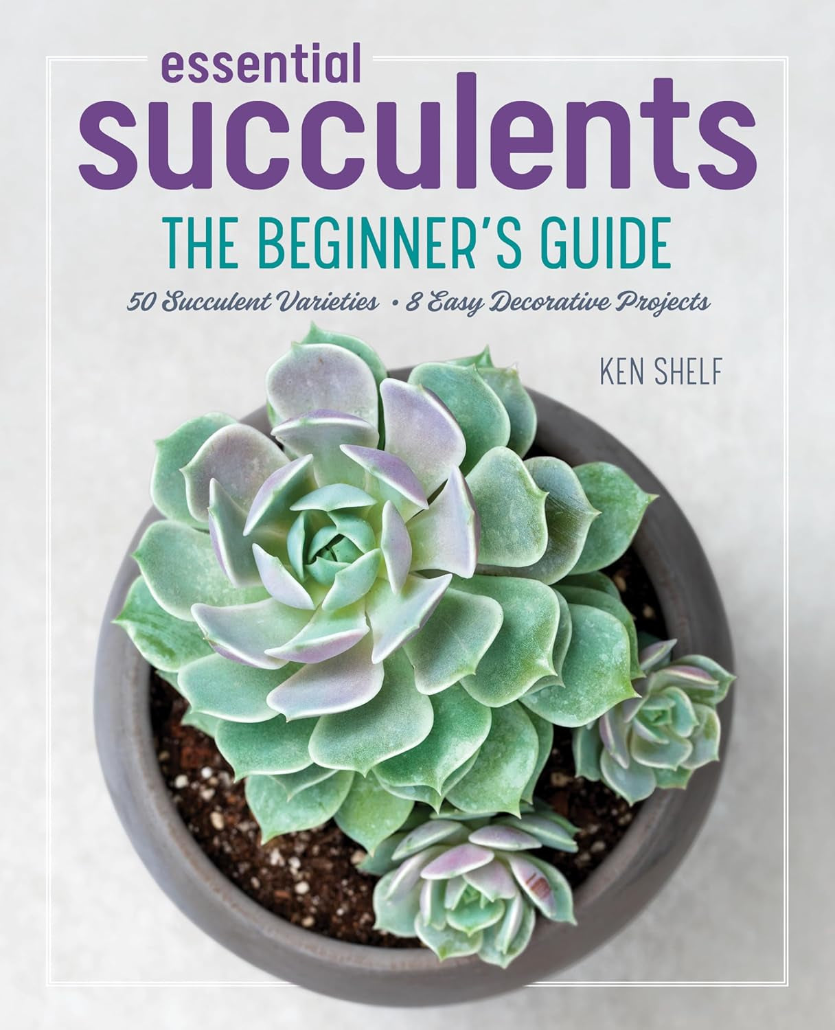 Essential Succulents: the Beginner'S Guide